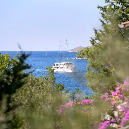 Boric By The Sea * Stari Grad (Hvar)