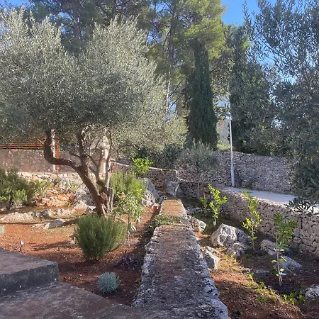 Boric By The Sea Villa *