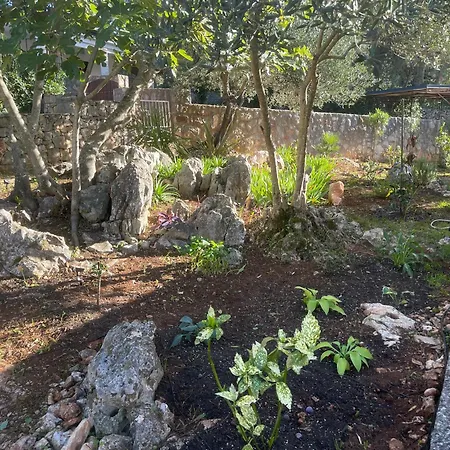 Villa Boric By The Sea Stari Grad (Hvar)