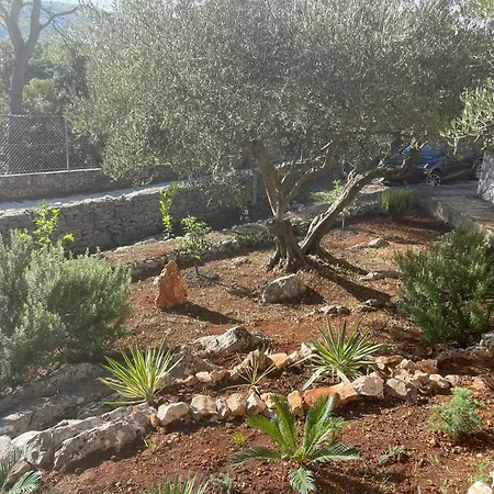 Boric By The Sea Stari Grad (Hvar)
