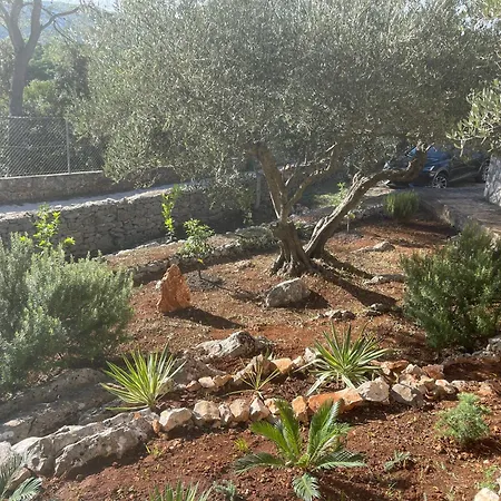 Boric By The Sea Stari Grad (Hvar)