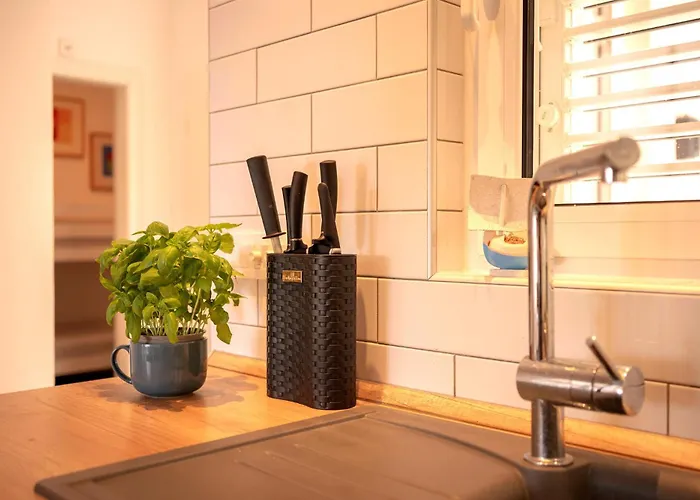 Boric By The Sea סטארי גראד