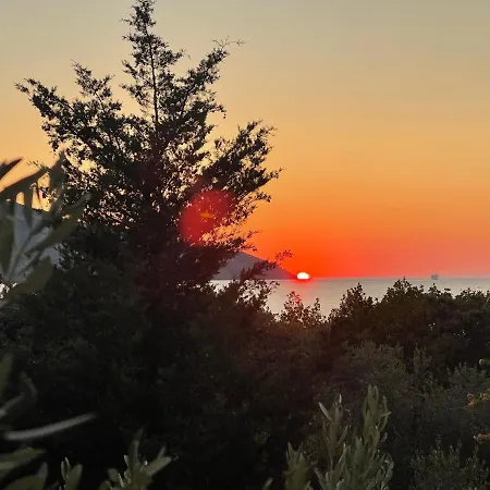 Boric By The Sea Stari Grad