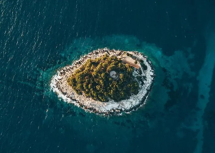 Boric By The Sea * Stari Grad (Hvar)