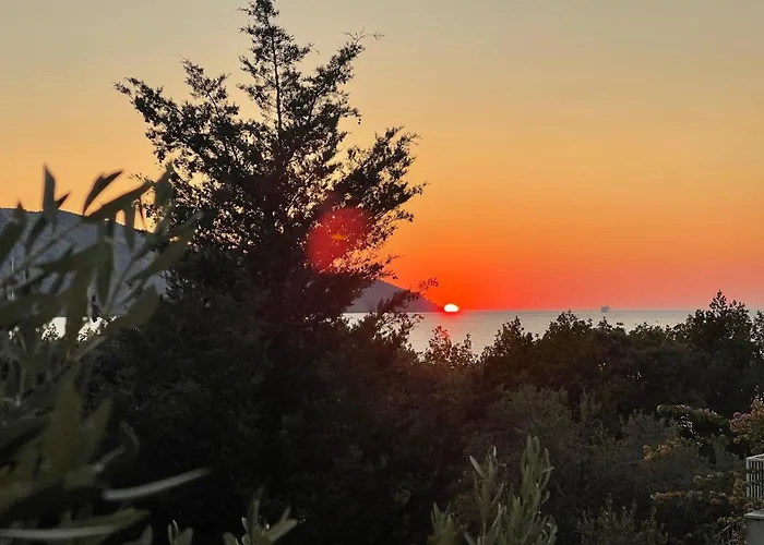 Boric By The Sea Stari Grad (Hvar)