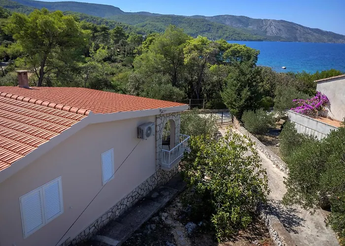 Boric By The Sea * Stari Grad (Hvar)