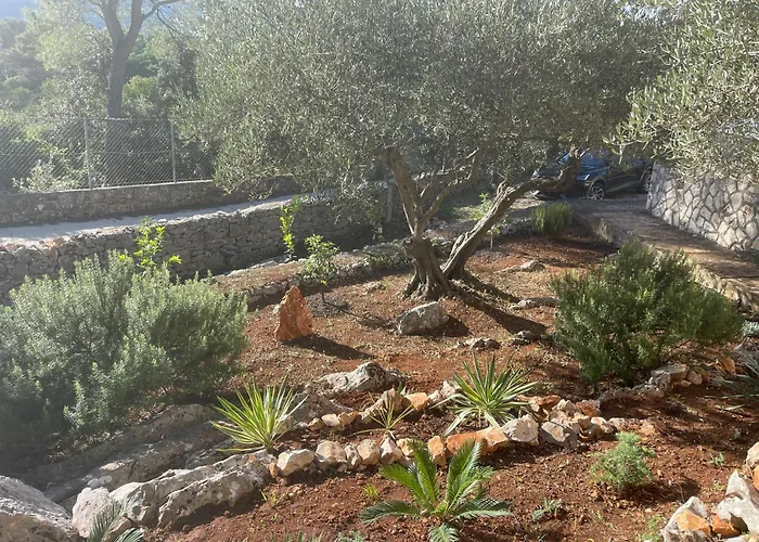 Boric By The Sea Stari Grad (Hvar)