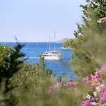 Boric By The Sea * ستاري غراد